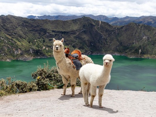Ecuador