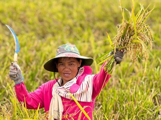Indonesie