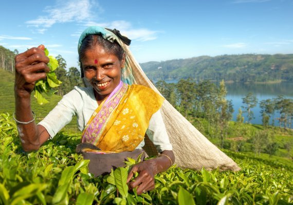 sri lanka