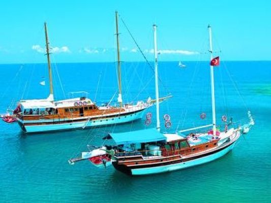 Blue Cruise