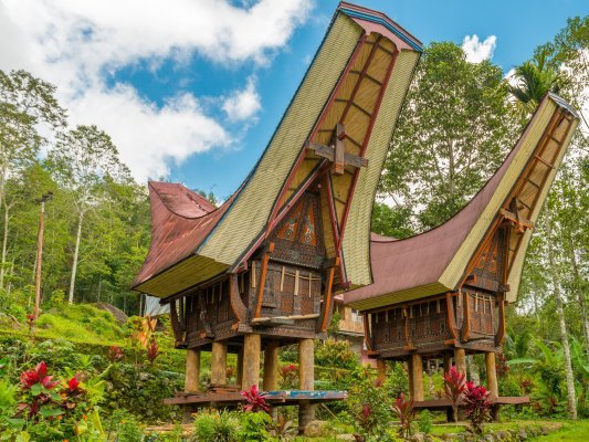 Toraja 