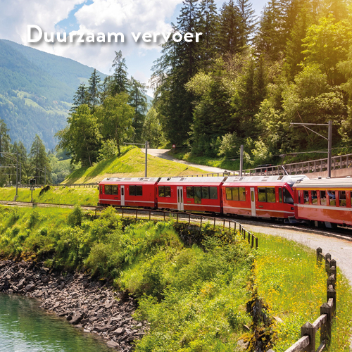 Trein onderweg door een groen landschap